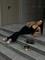 Кроссовки G109 sQkCdxp-ggyDHNHJ552ct1 - фото 135656