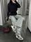 Свитер в стиле «Jaded London» 5383 oX0JyCS9jXuv0atgPtyH01 - фото 145036
