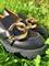 Лоферы, S20 OM1sp17uiy9-CeHA9loWe3 - фото 30037